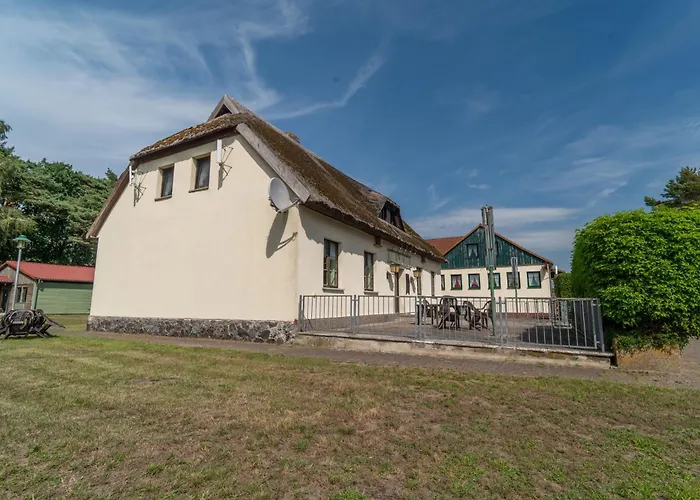 Schwalbenfest 1